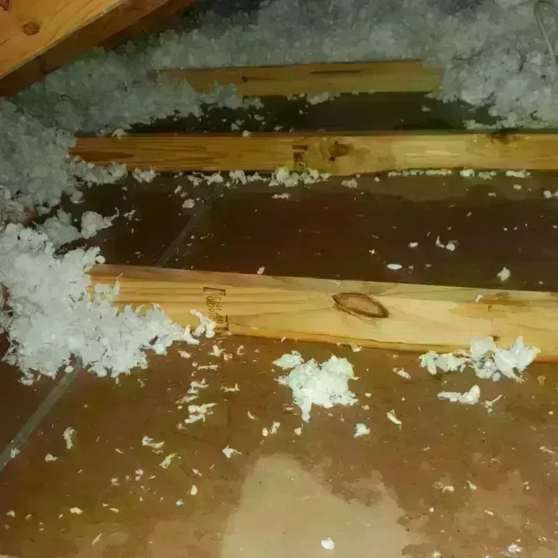 Attic Water Damage in Edmonds, WA