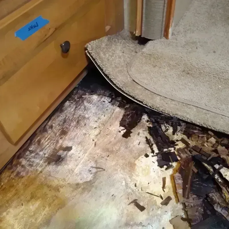 Wood Floor Water Damage in Edmonds, WA